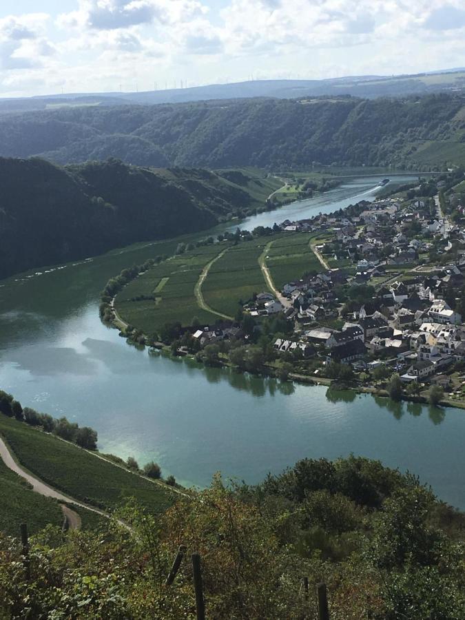 Eifel-Moezelhuis Bergweiler Esterno foto